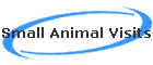 Small Animal Visits